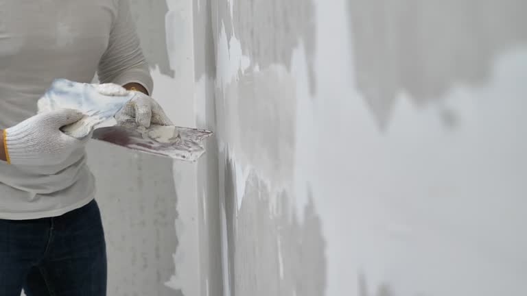 Professional Dry wall and painting in Portage Lakes, OH